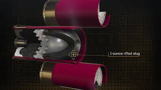 Shorty Shotshell [upl. by Toffey]