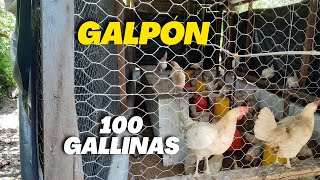 Como hacer un GALPON casero para Gallinas Ponedoras y Pollos de engorde FÁCIL para 100 Gallinas [upl. by Kumar262]