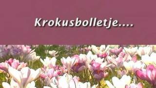 Krokusbolletje [upl. by Sunda]