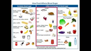 Adult Type 2 Diabetes  4 Nutrition Basics [upl. by Aiker111]