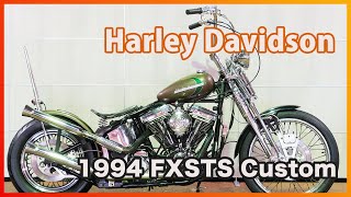 ID2297 Harley Davidson 1994 FXSTS Custom [upl. by Eelram572]