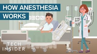 How Anesthesia Affects Your Brain And Body [upl. by Nomannic]