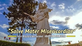 Salve Mater Misericordiae  Clave de Sol  Arautos do Evangelho [upl. by Lust719]