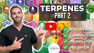 Terpenes Part 2 Biosynthesis Composition Preservation and Perception [upl. by Ninon]