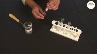 To identify the chloride bromide and iodide iodide ions from the given salts [upl. by Nylkcaj]