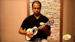 Curso de Cavaquinho para Iniciantes [upl. by Bergwall166]