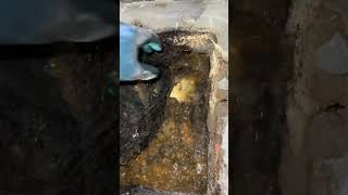 Unclogging Drains with a Plumbers Helper The Ultimate Guide [upl. by Concha]