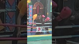 Orangutan Muay Thai Kickboxing in Thailand Please Read Description [upl. by Atirma]