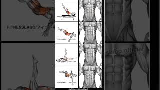 core strength workout  increase your strength [upl. by Murdoch]