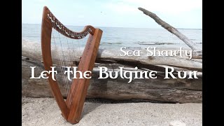 Let the Bulgine Run on Celtic Folk Harp [upl. by Akins]