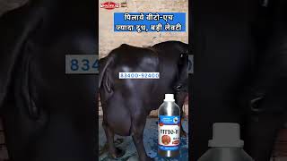 VITTOH Milk for Veterinary Liquid Supplement Mixture of multivitamins Pet Health Supplements [upl. by Aliakam]