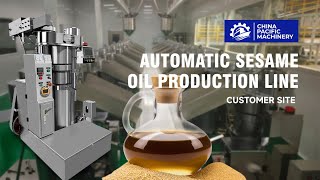 Toasted Sesame OilOil Press MachineHydraulic Sesame Oil ExtractorAutomatic Sesame Oil Expeller [upl. by Leduar]