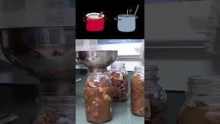 Beef Stroganoff in a Jar Winter Canning canning homemaking [upl. by Anuahsat]