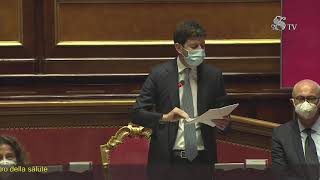 Senato la diretta video del ministro Speranza [upl. by Refotsirc]