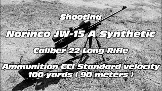 Shooting Norinco JW15 A Synthetic 22 LR [upl. by Pages]