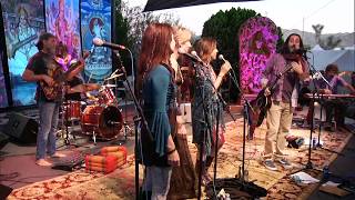 David Newman quotGrateful amp Jai Ganeshaquot Live at Shakti Fest 2018 [upl. by Yrokcaz]