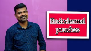 Endodermal Pouches [upl. by Aicilef]