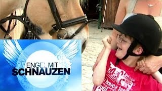 Tiergestützte Therapie HippoTherapie [upl. by Aiksas]