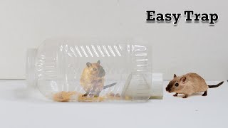 Easy Mouse TrapRat Trap  Mole Trap [upl. by Heisel]