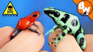 Which Poison Frog Can Kill You [upl. by Rramel]