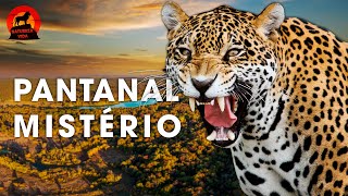 PANTANAL SELVAGEM  Caçadores Implacáveis e a Beleza Natural Intocada  Documentários animais [upl. by Aruabea]