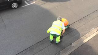 Insolite Au Mans un lapin perdu dans la ville [upl. by Eiramllij]