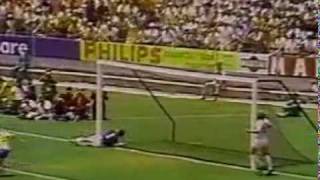 Greatest Ever Goalkeeper Save  Gordon Banks Saves from Pele [upl. by Ahtabat]