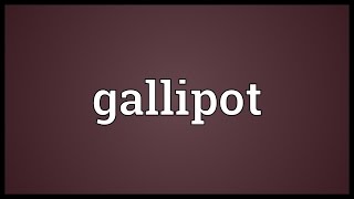 Gallipot Meaning [upl. by Teak]