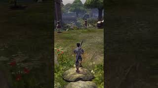 Deciphering Fable 1s mysterious text  Fable Gameplay Highlights [upl. by Adnilym]