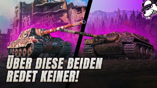 Über diese beiden deutschen Jagdpanzer redet keiner World of Tanks  Gameplay  Deutsch [upl. by Weldon982]