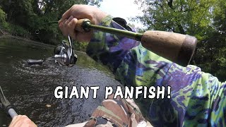 Kayak Fishing for Panfish Big Enough to PULL DRAG [upl. by Enomsed]