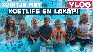 DRIELING KOETLIFE IS 7 JAAR   DE BAKKERTJES 128 [upl. by Lishe]