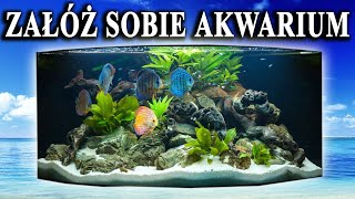 Początkujący 🐠 Propozycje RYB do Pierwszego AKWARIUM [upl. by Redliw]