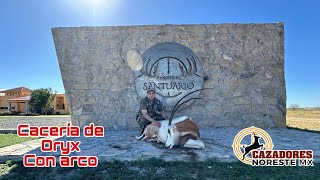 Caza de scimitar ORYX con ARCO Rancho el Santuario [upl. by Gerianne266]