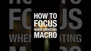 Macro photography tutorial how to focus macrophotography photography photographytips [upl. by Little]