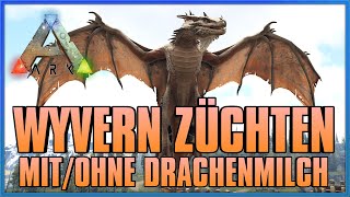 ★ ARK FJORDUR ★ WYVERN ZÜCHTEN mit und ohne DRACHENMILCH INFOGuideDeutsch [upl. by Kenimod339]