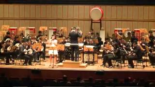 Set Fire To The Rain feat Tok Xue Yi  Pioneer Chinese ORchestra [upl. by Martinsen]