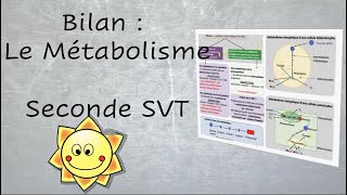 Le Métabolisme des cellules  Fiche Bilan Seconde SVT [upl. by Nyrem133]