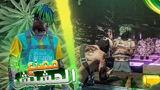 GTA RP  FAVELA  ep2 🌿Cannabis🍃الحياة الواقعية  أخطر بزناز فالكون تبوقت [upl. by Rainwater]