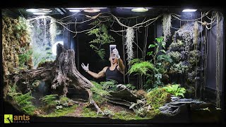 I Released an Apex Predator into My Giant Rainforest Vivarium [upl. by Aileek]