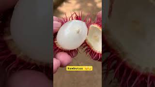 Sri Lankan fruit rambutan seasonal fruit 😋 [upl. by Ssenav]