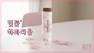 벚꽃 하바리움 만들기 DIY herbarium [upl. by Ahseikram542]