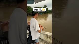 ยิงปลาหน้าฝาย ทีมงานสไนท์เปอร์ ขอลงไปหาน่อย คลิปสั้น youtuebshort คลิปShorts [upl. by Spevek]