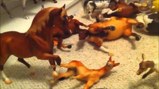 Breyer Randomness [upl. by Notrom377]