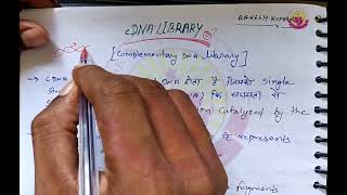 cdna library part2। cdna library construction।genomic and cdna library msc csirnet [upl. by Harrus476]