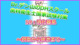 【歯科衛生士 国家試験対策】10消化器系 ～摂取から排泄まで～ Drデン山のDHスクール 歯科衛生士国家試験対策 [upl. by Akenahs210]