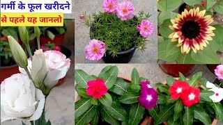 AprilMay में छत को सजाए इन फूलों वाले पौधों से  Best Summer Flowering Plants In India [upl. by Cutcliffe600]