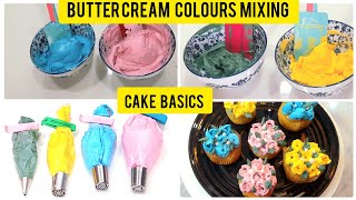 How to mix Colours in ButterCream  Cake Basics  Beginners Guide [upl. by Novonod683]