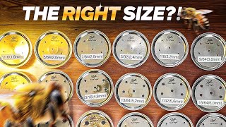 Unlocking Efficiency What is the Right Hole Size for Bee Feeder Jar 📏🐝 beekeepingtips [upl. by Jordon208]