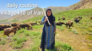 IRAN nomadic life  daily routine village life of Iran  Nomadic lifestyle of Iran [upl. by Liebermann320]